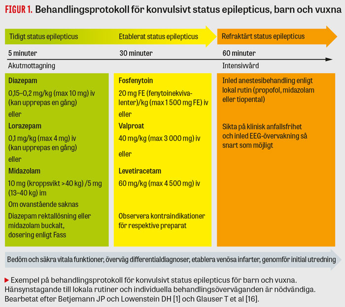 Status Epilepticus Hos Barn Och Vuxna